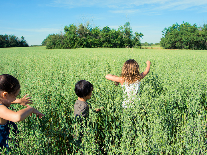 children playing in a field