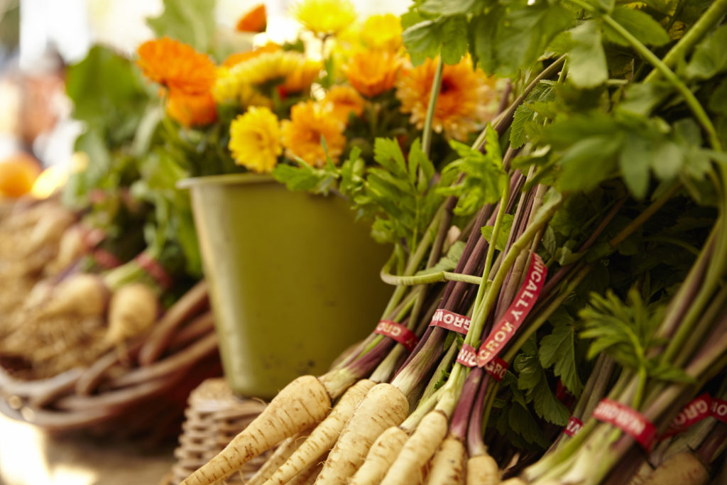 Kubik-150117-LocalHero_0996 - Salad Near Me | MIXT Farmers Market Vegetables