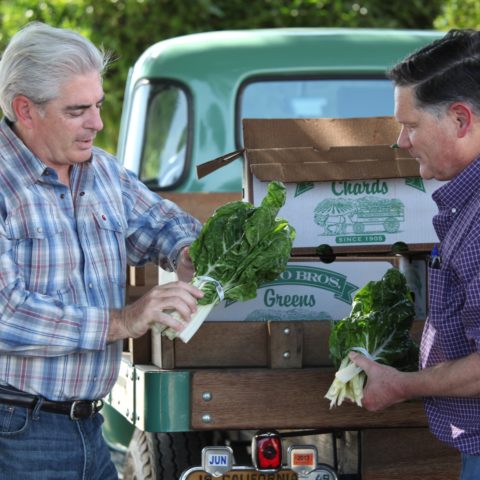 Ratto Bros. Farms - sourcing partner for lettuce.