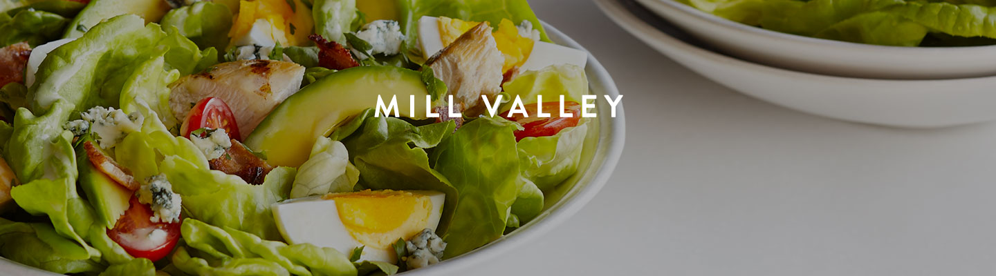 CA // Mill Valley