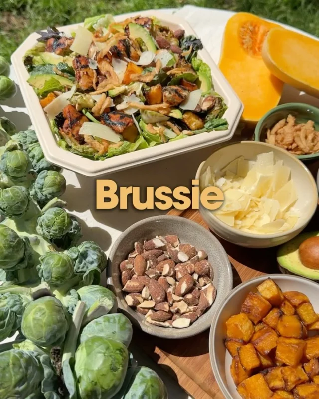 The BRUSSIE is back in season. Here’s what’s inside: 
- romaine hearts 
- kale 
- blackened chicken
- shaved roasted brussels sprouts 
- roasted butternut squash 
- avocado 
- shaved parmesan 
- toasted almonds
- parmesan peppercorn dressing
- topped with crispy onions