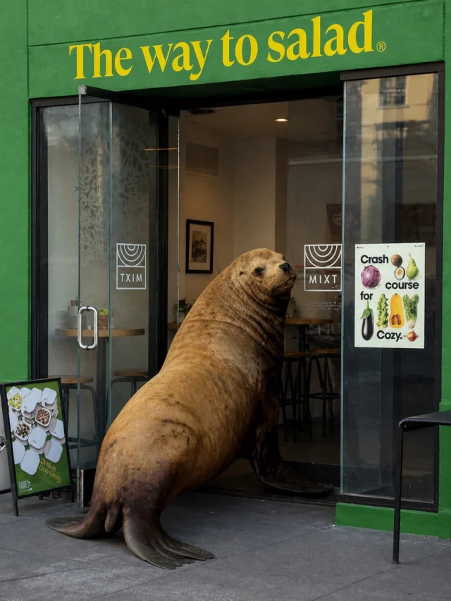 Chonkers left the docks for a first taste of the new menu dropping 5/13….👀🐟