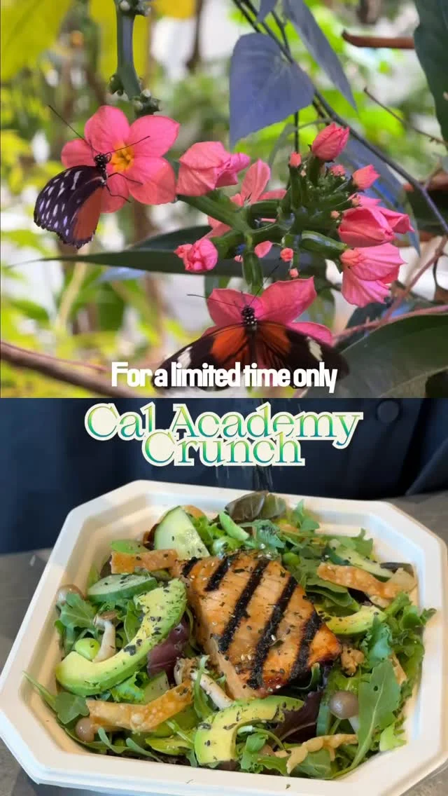 Celebrate Biodiversity Month with every bite 🌿Now through October 18, with every purchase of the Cal Academy Crunch with your MIXT account, receive $5 off admission to @calacademy.Available at all Bay Area locations. Get yours today!