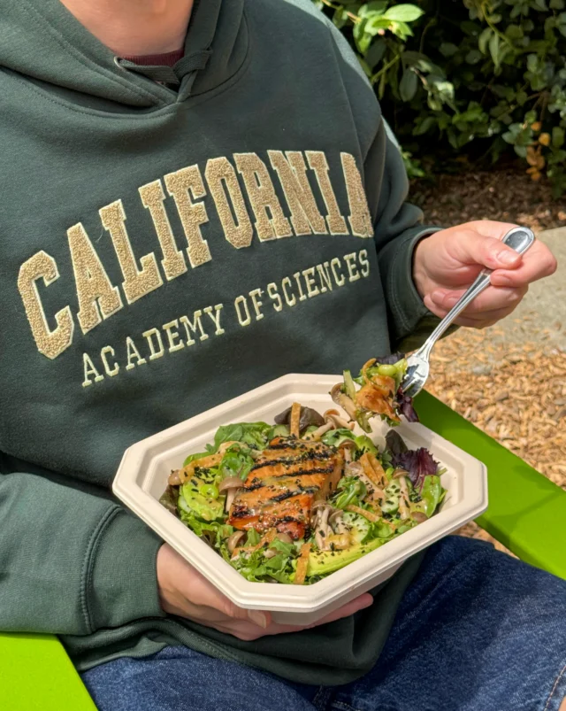 A day in Golden Gate Park just got even better🌁 Grab a Cal Academy Crunch salad at MIXT, then head over to explore @calacademy. We’re giving one lucky winner everything you need for the ultimate outing:- 2 California Academy of Sciences tickets- Cal Academy of Sciences hoodie- MIXT tote bag- $60 MIXT creditsHere’s how to enter: 👇1️⃣ Follow @mixt and @calacademy2️⃣ Like this post 3️⃣ Tag your ggp bestie (every comment = one entry, up to 5 total) Giveaway ends September 23, 2026. Winners will be selected at random and contacted by September 24, 2026. Not sponsored by Instagram. No purchase necessary.Visit mixt.com/giveaway to find the MIXT Cal Academy Giveaway Terms.