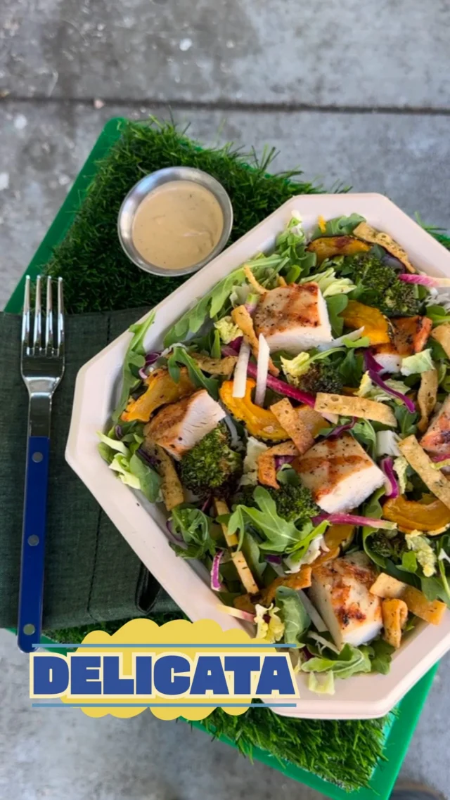 happy delicata season to all who celebrate arugula, cabbage, grilled chicken, roasted broccoli, roasted delicata squash, jicama, watermelon radishes, tahini coconut dressing, topped with furikake wonton crisps seasonal flavors at their prime—now available!